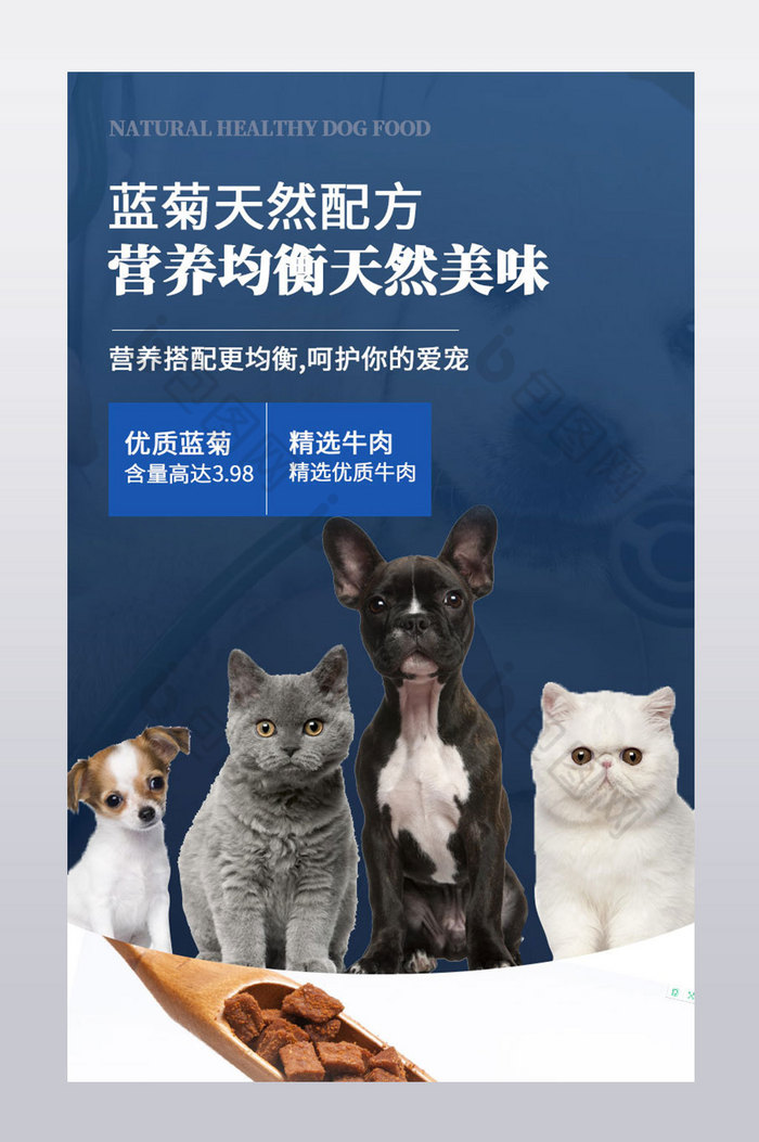 电商天猫宠物用品猫粮狗粮详情页模板图片图片