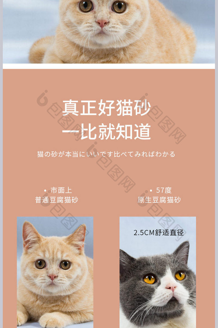 电商淘宝宠物用品猫咪猫砂子详情页模板设计