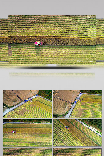 航拍农村稻田水稻机械收割图片
