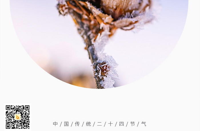 小雪十二节气微信手机海报