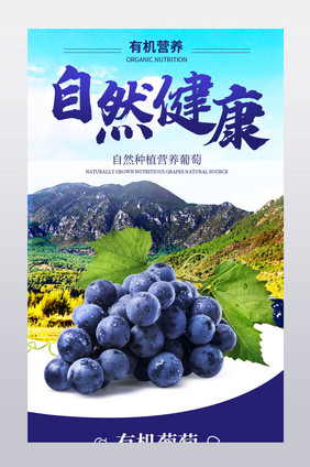 自然健康营养葡萄冬季新品水果营养详情页