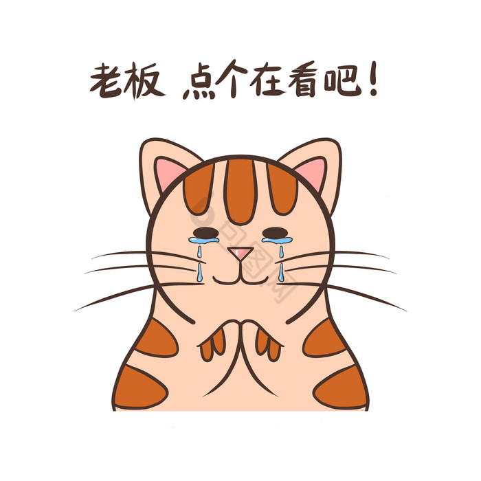 猫咪新媒体引导在看图片