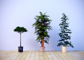 C4D室内景观园艺植物模型场景效果图