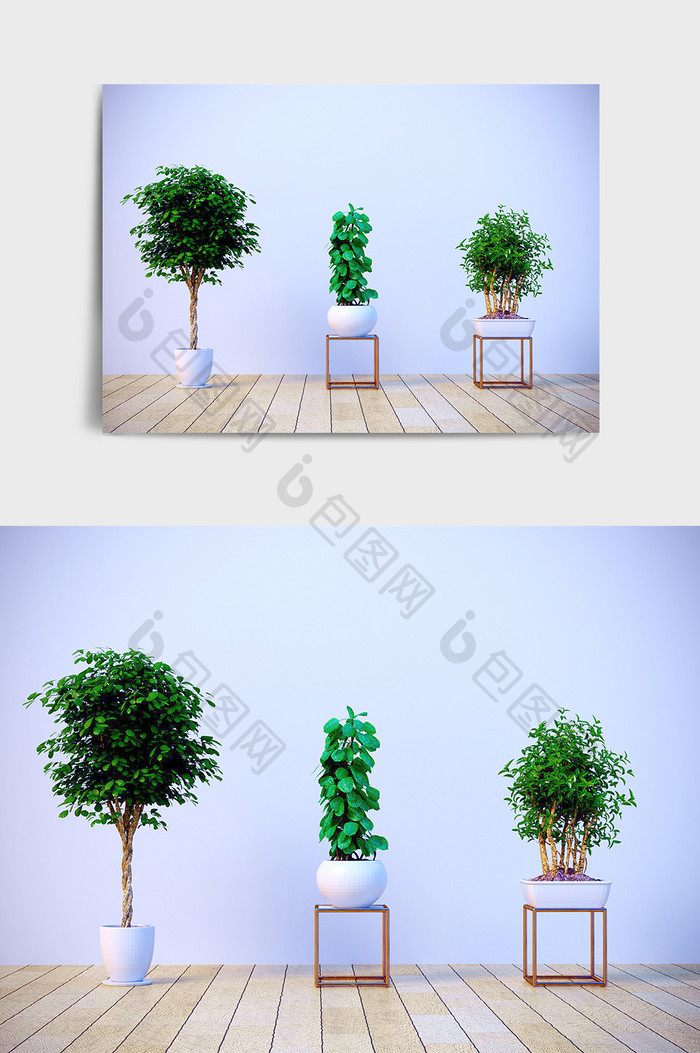 C4D现代景观盆栽植物模型场景效果图