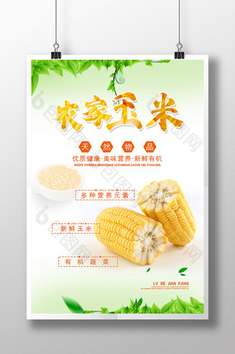 绿色简约农家玉米天然有机农业宣传海报图片