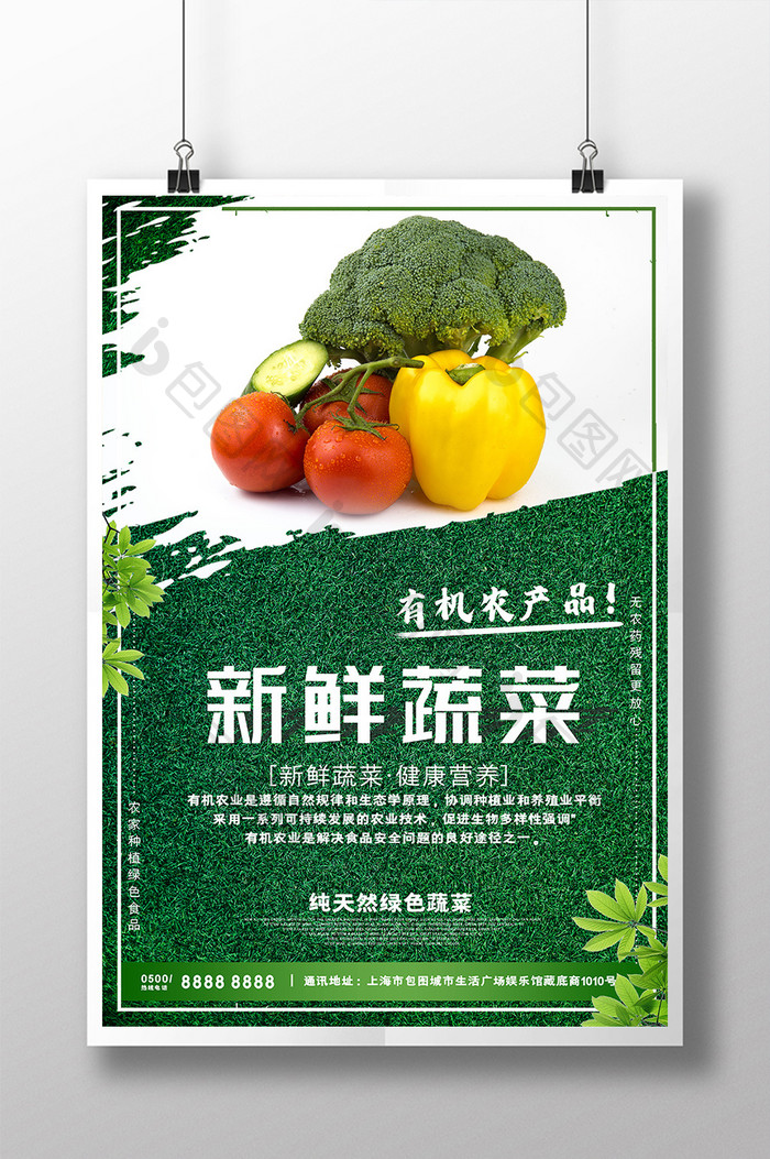 绿色健康新鲜蔬菜有机农产品农业宣传海报