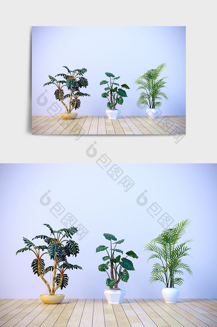 C4D落地盆栽模型绿植模型场景效果图