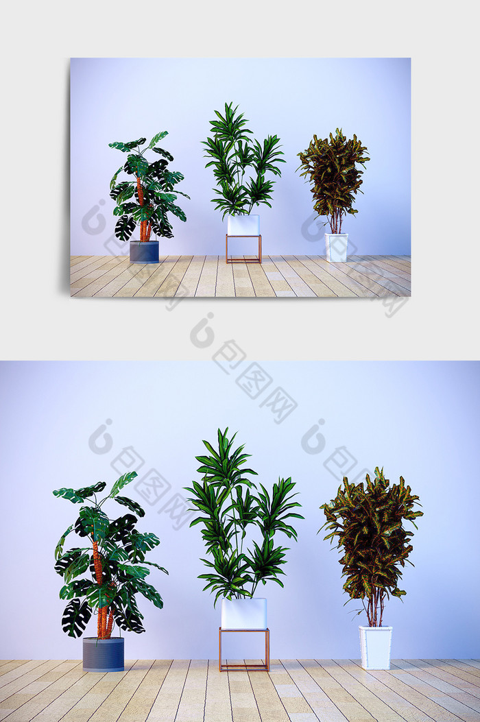C4D现代落地景观多肉盆栽植物模型效果图图片图片