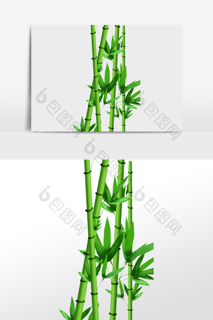 绿色植物竹子翠竹