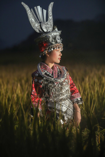 少数民族苗族姑娘在稻田里