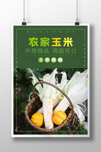 绿色简约大气农家玉米天然农作物海报图片
