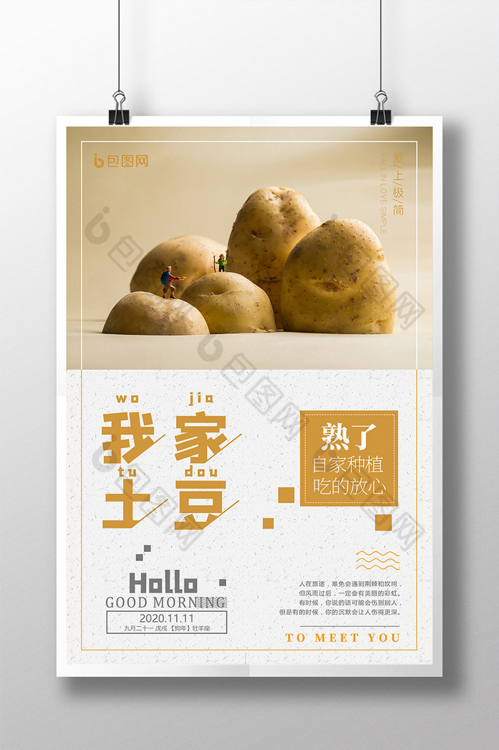 马铃薯洋山芋我家土豆农作物图片