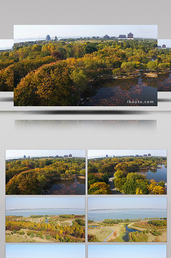 4K航拍苏州阳澄湖秋日黄色树木园林景色图片