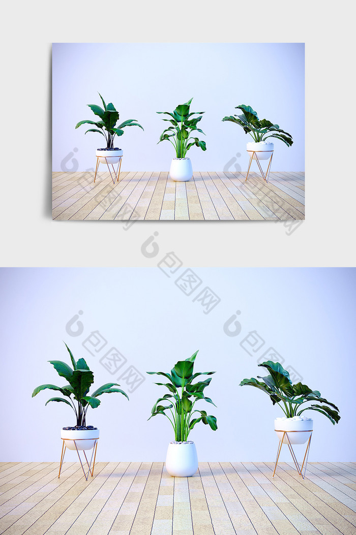 C4D盆栽模型绿植模型宽叶绿植场景效果图图片图片
