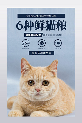 宠物用品进口幼猫天然猫粮狗粮详情页模板图片
