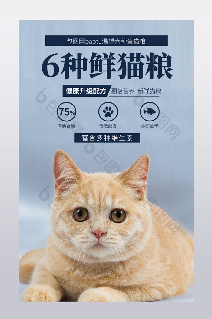 宠物用品进口幼猫天然猫粮狗粮详情页模板