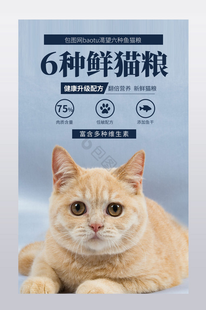 宠物用品进口幼猫天然猫粮狗粮详情页模板图片