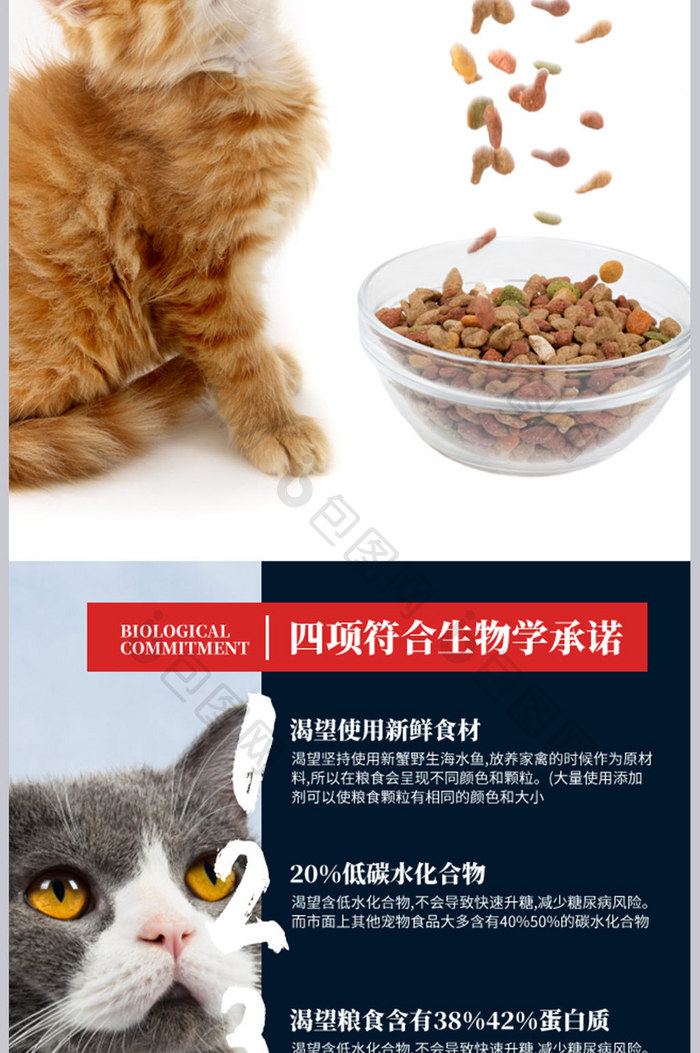 宠物用品进口幼猫天然猫粮狗粮详情页模板