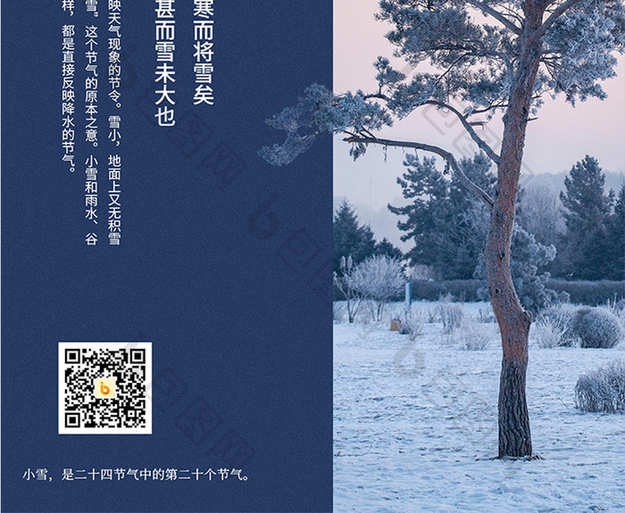小雪节气图文蓝色松树简约海报