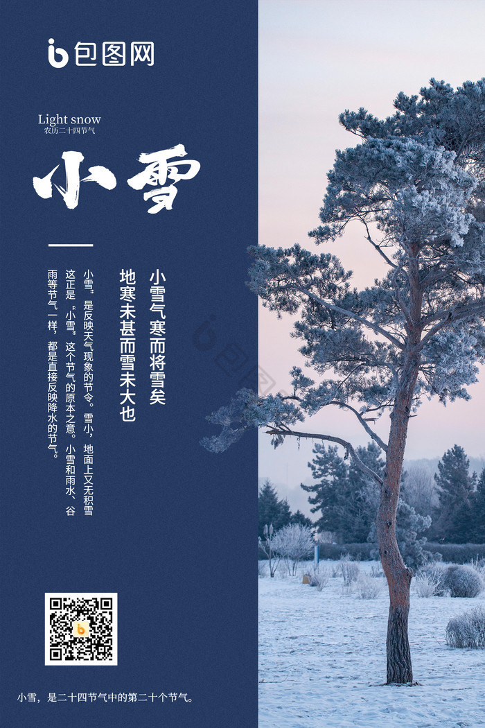 小雪节气图文松树图片