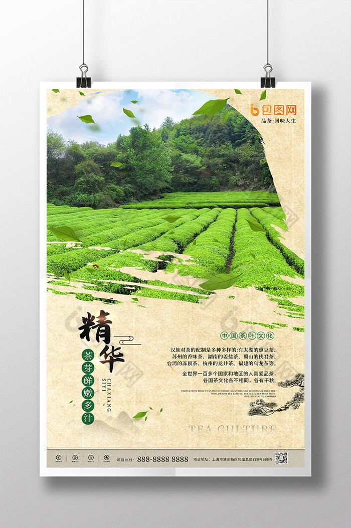 茶道文化茶文化展板品茶文化图片