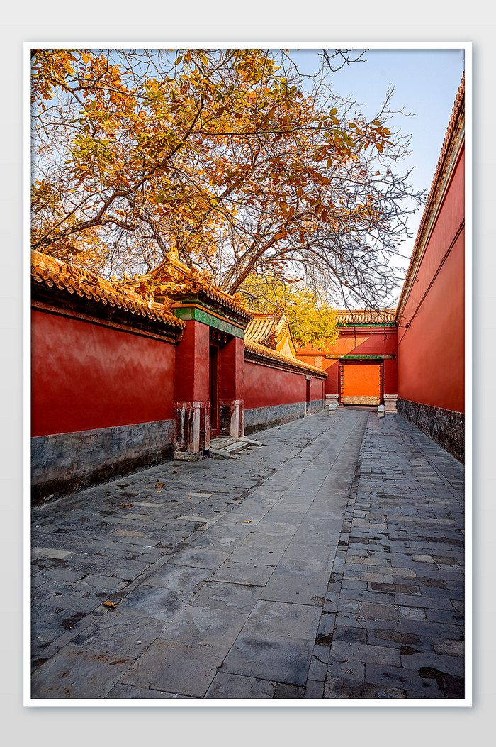 【北京故宫红墙紫禁城】图片下载-包图网