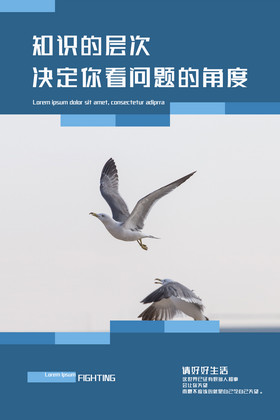 知识的层次决定你看问题的高度正能量图片