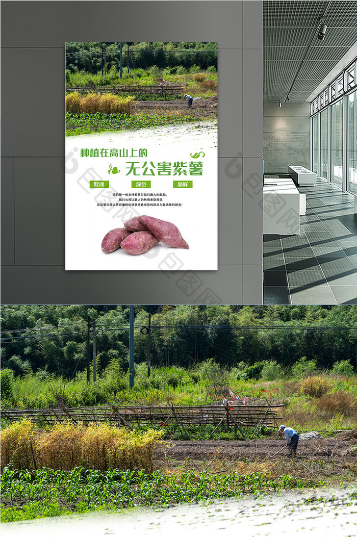 绿色天然无公害紫薯地瓜农产品海报