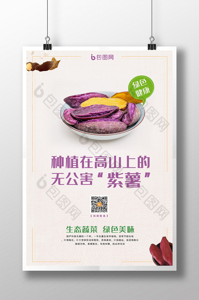 健康无公害紫薯番薯地瓜农产品图片图片