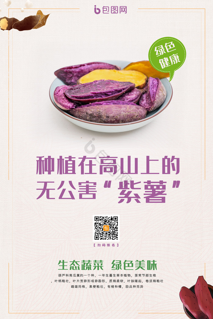 健康无公害紫薯番薯地瓜农产品图片