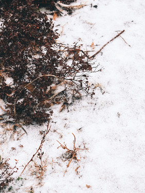 大雪过后的草地素材摄影图