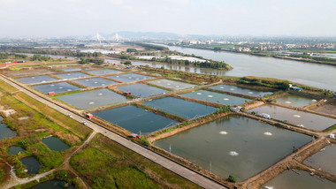 农村发展水产养殖