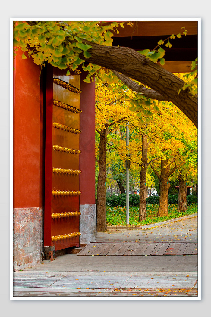 银杏地坛城门传统建筑图片图片