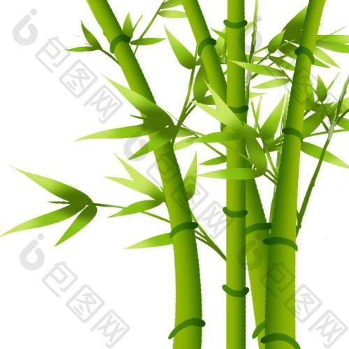 植物竹子竹叶元素动图GIF
