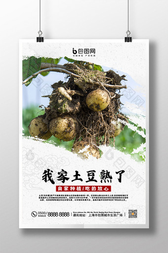 白色经典大气纯朴土豆农作物海报图片