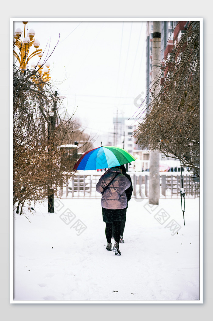 下雪天在公园小路行走的打伞路人图片图片