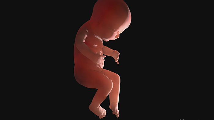 婴儿三维模型高清背景视频