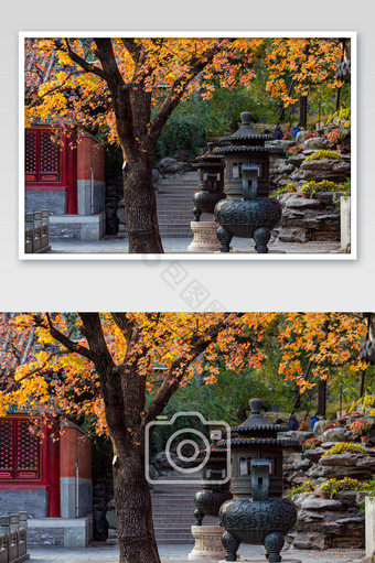 北京秋天的故宫一角图片
