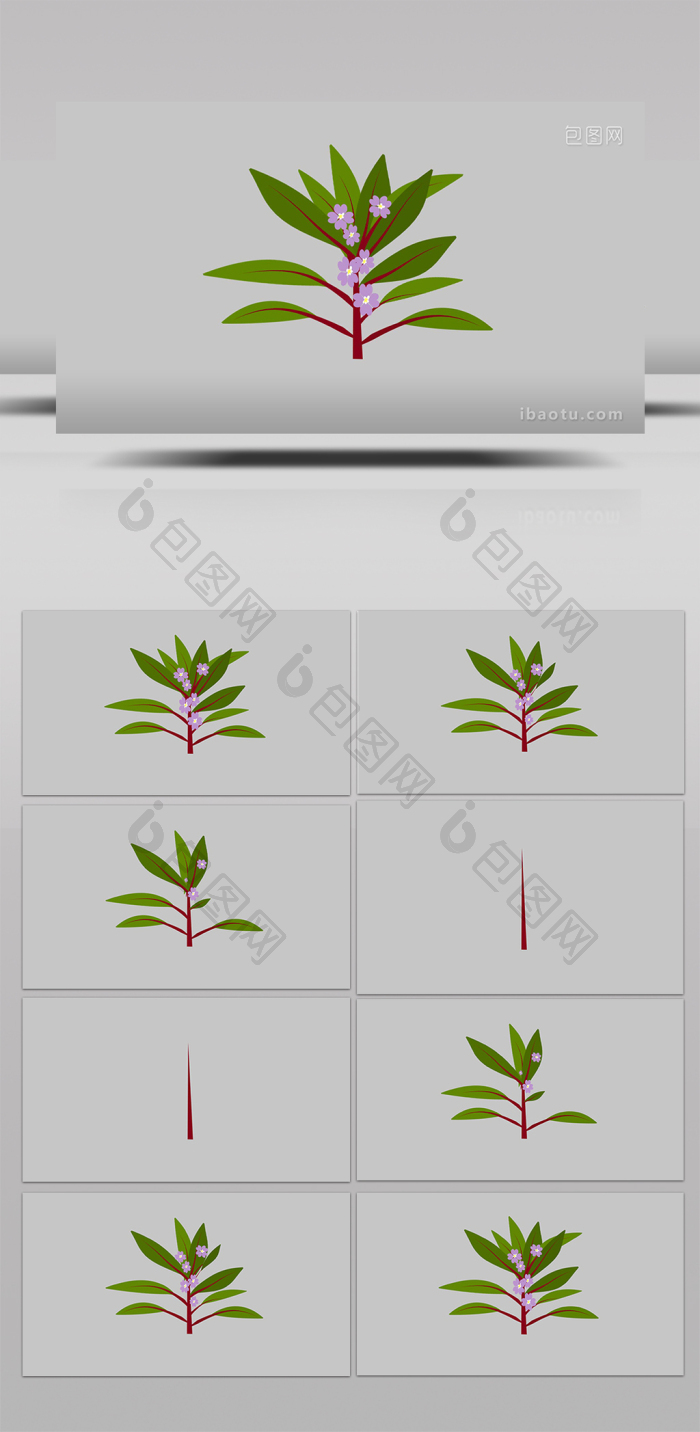 卡通画风可爱漂亮自带小动效凤仙花mg动画