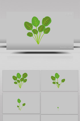 漂亮卡通扁平风自带小动效大苋菜mg动画