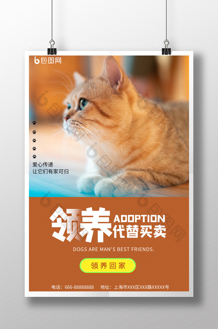 领养宠物公益设计海报