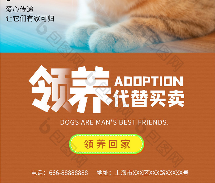 领养宠物公益设计海报
