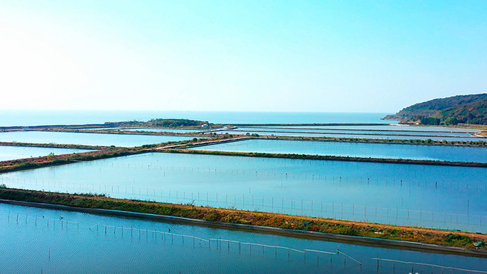 4K实拍大闸蟹龙虾水产品养殖基地视频素材
