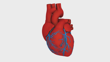 三维心脏血管医学医疗高清背景视频