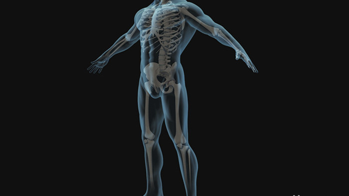 三维人体骨骼手术动画背景视频