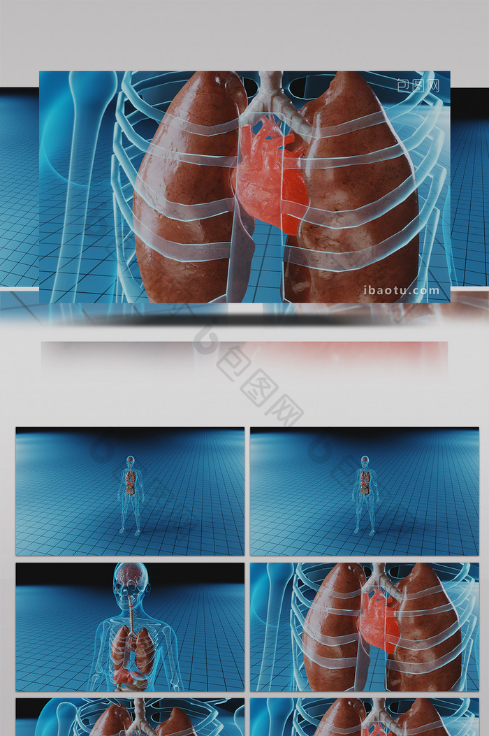 三维人体心脏跳动高清背景视频