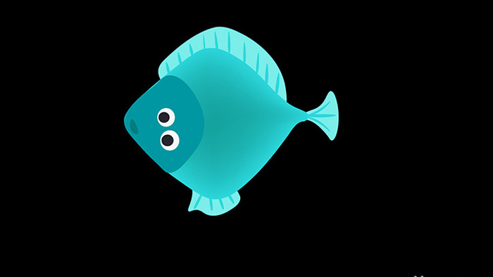 动物类比目鱼清新可爱风扁平风素材MG动画