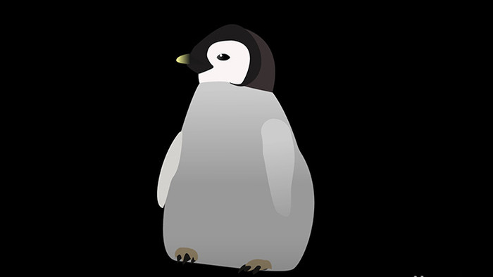 动物类企鹅清新可爱风扁平风素材MG动画