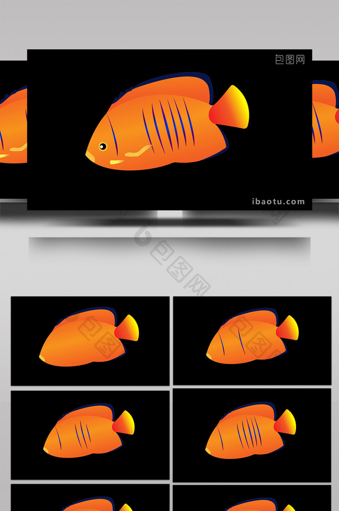 动物类橙仙鱼清新可爱风扁平风素材MG动画