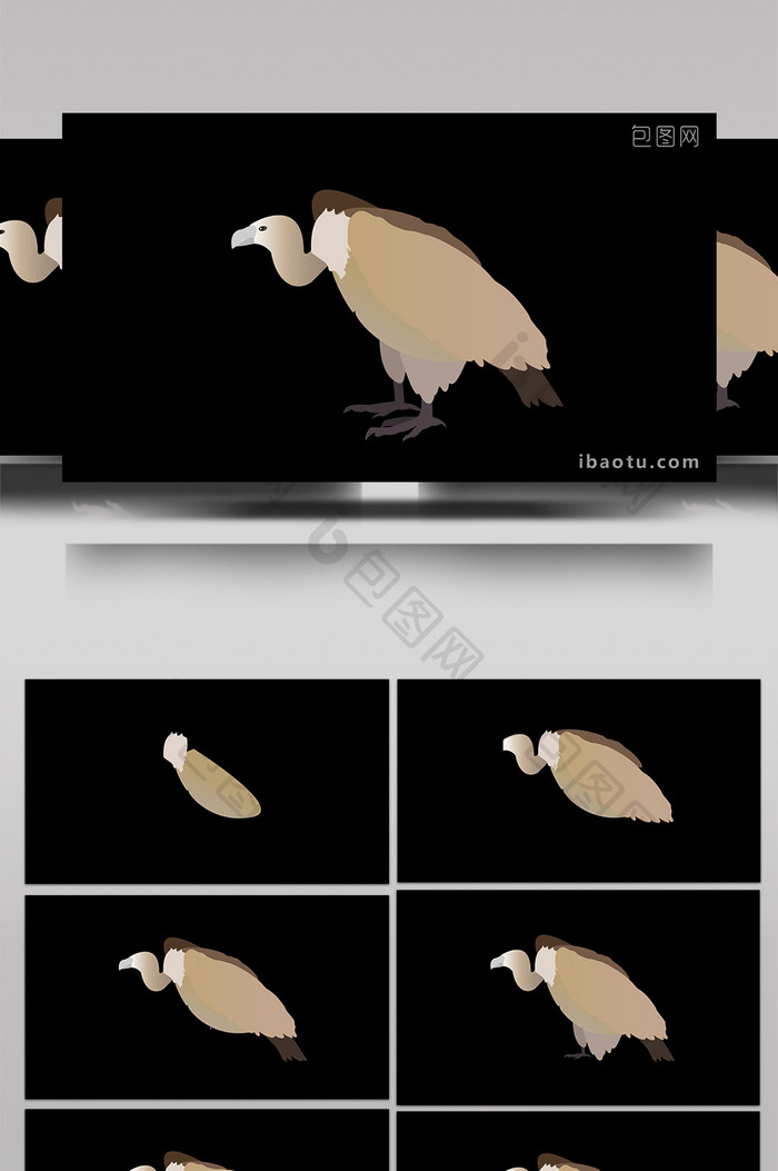 动物类秃鹫清新可爱风扁平风素材MG动画